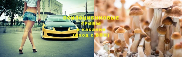 кокс Бородино
