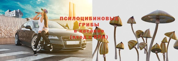 кокс Бородино