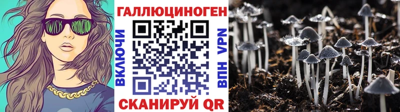 Псилоцибиновые грибы ЛСД купить наркоту Горно-Алтайск