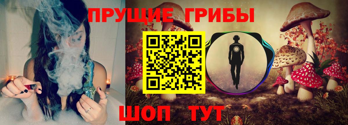 Псилоцибиновые грибы мухоморы  Псилоцибиновые грибы Cubensis  Горно-Алтайск  купить наркотики сайты  Вход с VPN 
